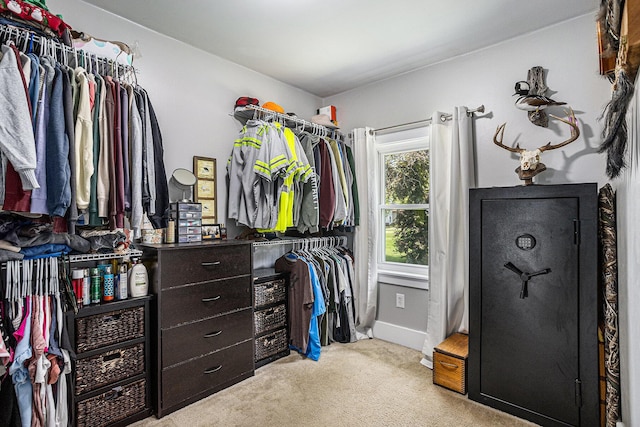 241 E Corey St, Bronson, MI 49028 - walk in closet with light carpet