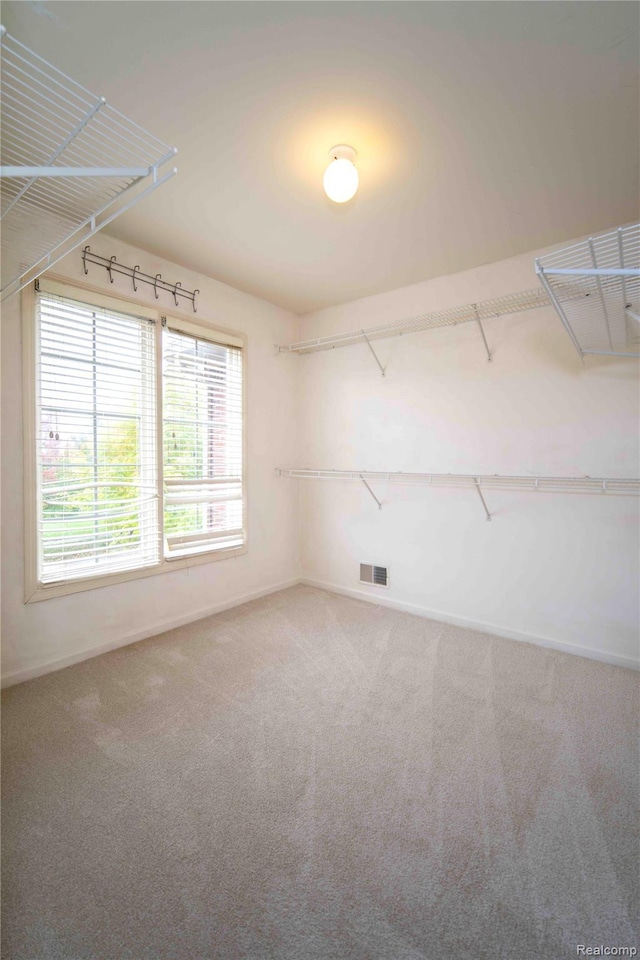 6169 Valley View Dr, Canton, MI 48187 - walk in closet featuring carpet