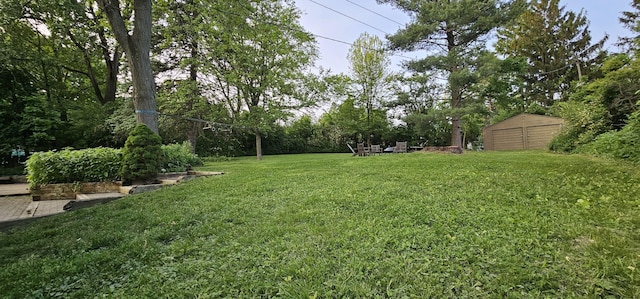 1204 Bydding Rd, Ann Arbor, MI 48103 - view of green lawn