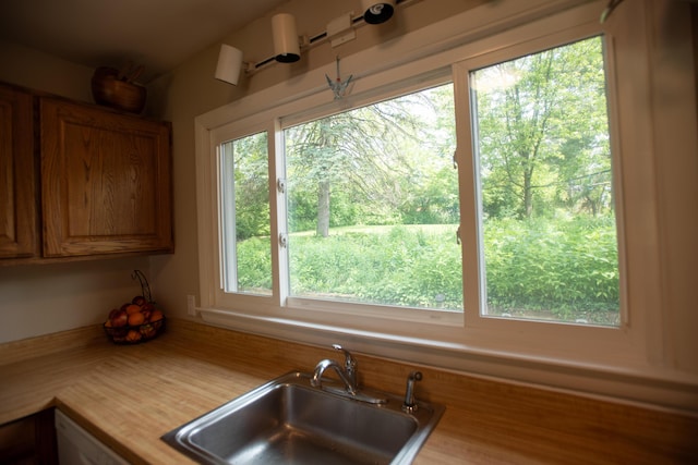 1204 Bydding Rd, Ann Arbor, MI 48103 - kitchen with a sink and brown cabinetry