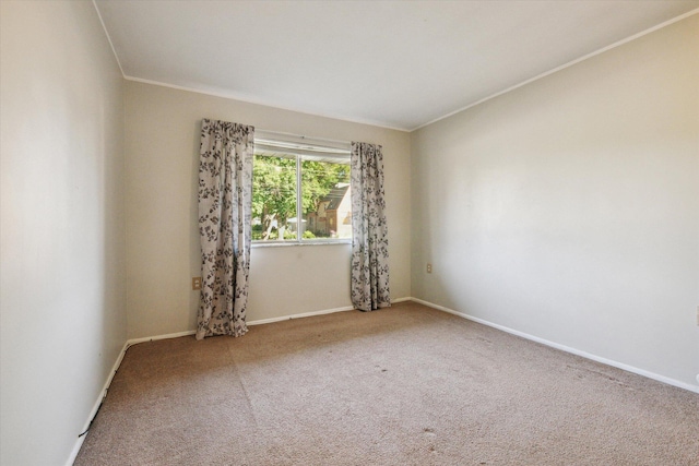 2910 Elizabeth St, Wayne, MI 48184 - spare room featuring crown molding, carpet floors, and baseboards