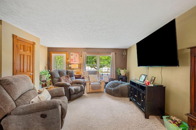 917 Kensington Dr, Niles, MI 49120 - living area featuring light carpet and a textured ceiling