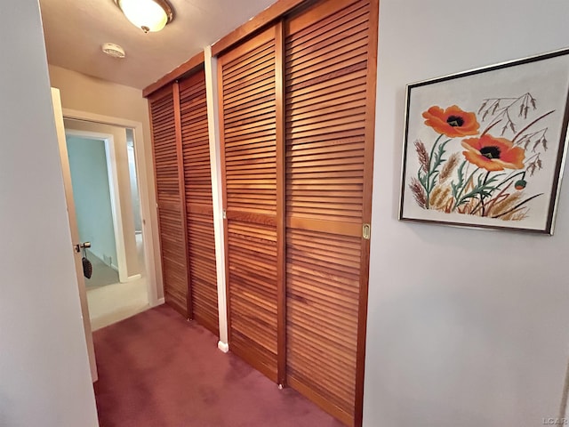 818 W Chestnut St, Morenci, MI 49256 - hall featuring carpet