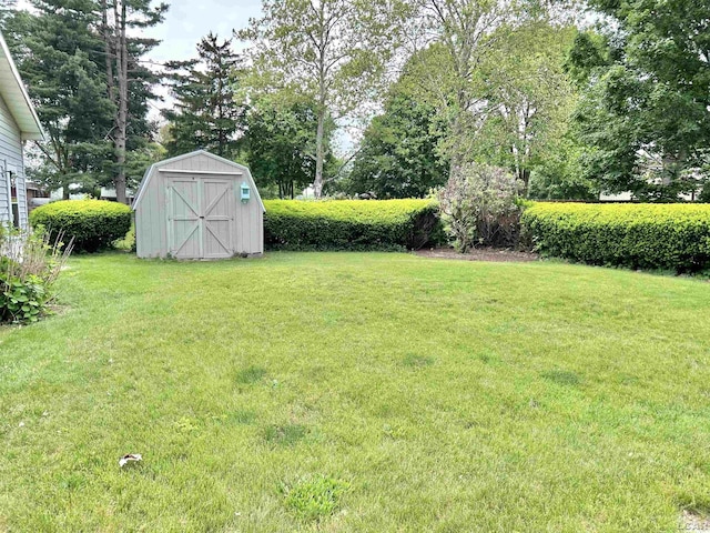 818 W Chestnut St, Morenci, MI 49256 - view of grassy yard