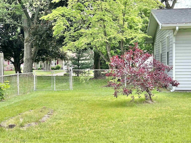818 W Chestnut St, Morenci, MI 49256 - view of yard