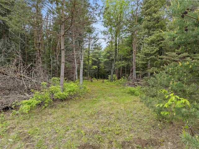 SleepyHollow Honor Highway, Interlochen, MI 49643