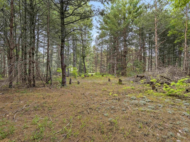 SleepyHollow Honor Highway, Interlochen, MI 49643