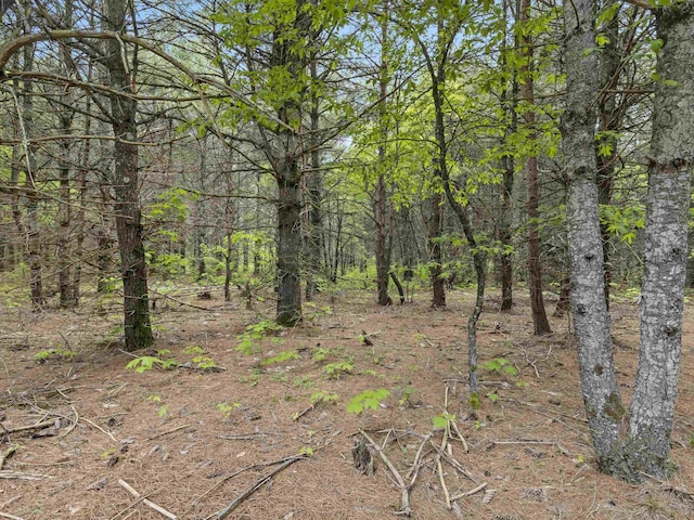 SleepyHollow Honor Highway, Interlochen, MI 49643