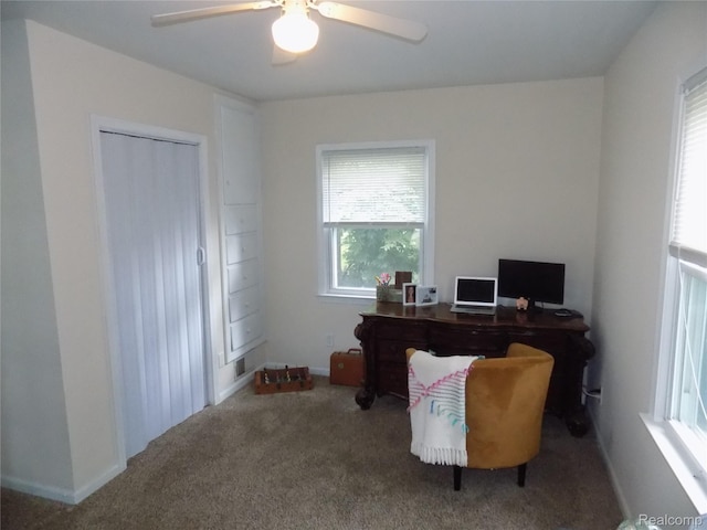 9207 Whitall Ln, Trenton, MI 48138 - office space with plenty of natural light, a ceiling fan, and carpet flooring