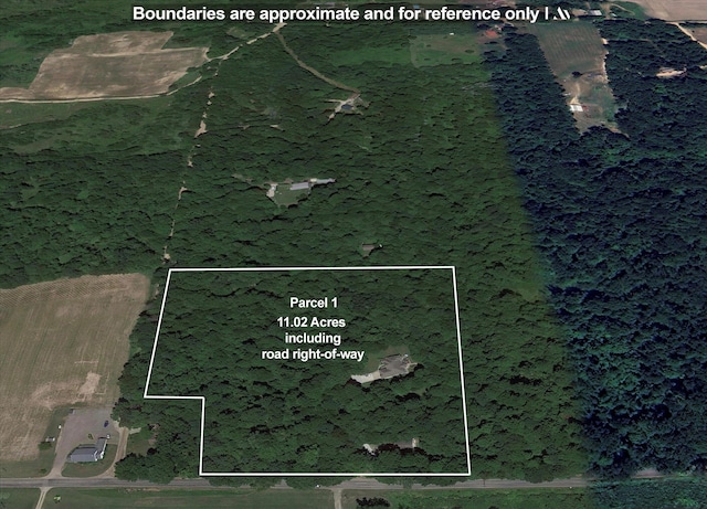 11082 Hoffman Rd, Marcellus, MI 49067 - aerial view of property's location