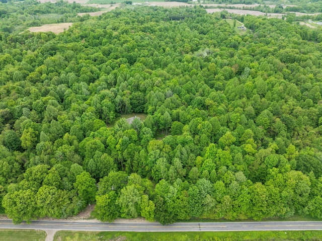 11082 Hoffman Rd, Marcellus, MI 49067 - drone / aerial view of a forest
