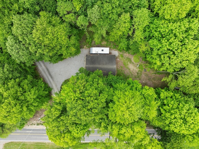 11082 Hoffman Rd, Marcellus, MI 49067 - drone / aerial view