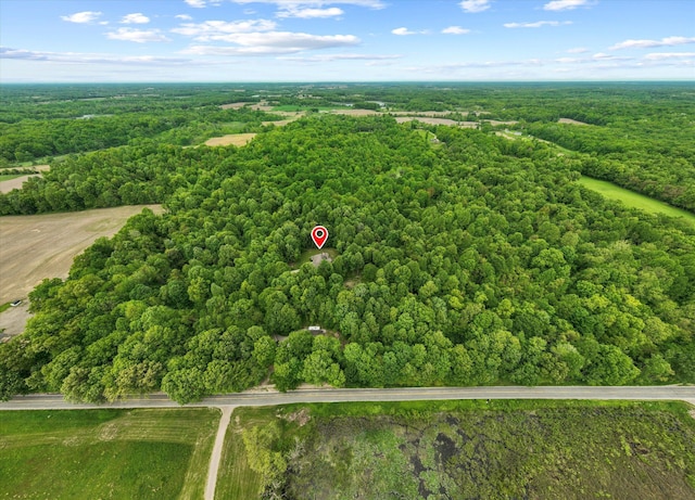 11082 Hoffman Rd, Marcellus, MI 49067 - aerial view of a forest
