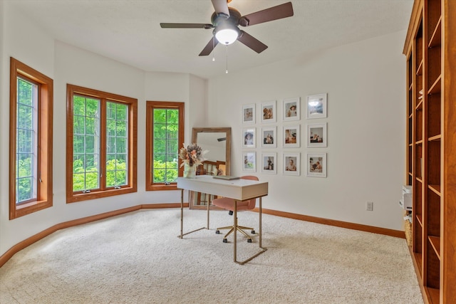 11082 Hoffman Rd, Marcellus, MI 49067 - office space with carpet flooring, baseboards, and a ceiling fan