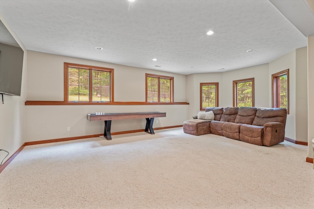 11082 Hoffman Rd, Marcellus, MI 49067 - playroom with carpet floors, baseboards, recessed lighting, healthy amount of natural light, and a textured ceiling