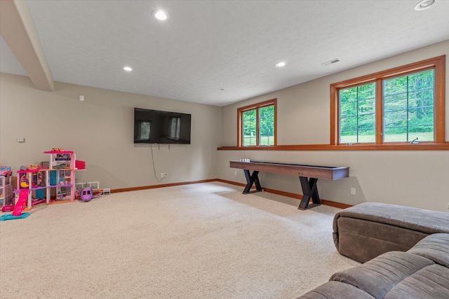 11082 Hoffman Rd, Marcellus, MI 49067 - rec room with carpet flooring, baseboards, and recessed lighting