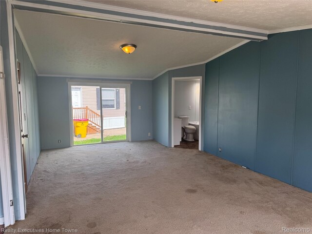 59227 Lewis Ln, New Haven, MI 48048 - empty room featuring lofted ceiling, carpet flooring, crown molding, and a textured ceiling