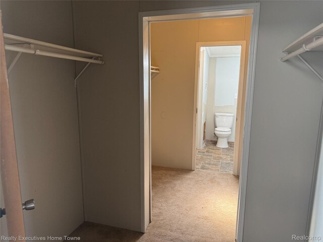 59227 Lewis Ln, New Haven, MI 48048 - spacious closet featuring carpet flooring