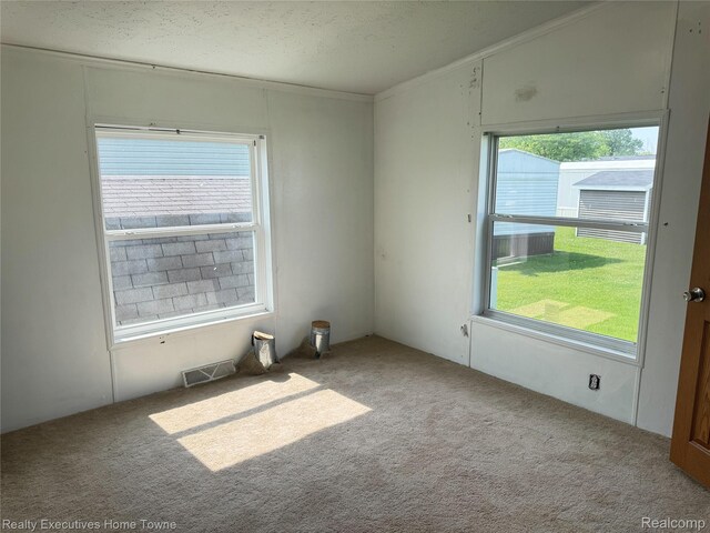 59227 Lewis Ln, New Haven, MI 48048 - empty room featuring carpet, healthy amount of natural light, ornamental molding, and a textured ceiling