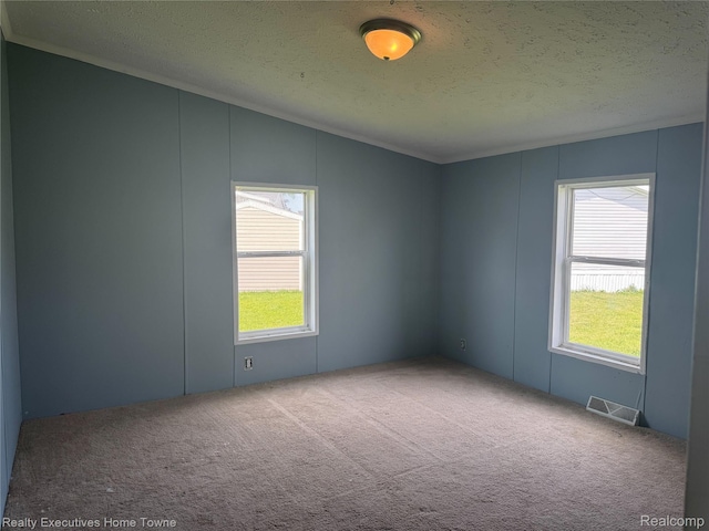 59227 Lewis Ln, New Haven, MI 48048 - empty room with vaulted ceiling, a textured ceiling, carpet flooring, and a decorative wall