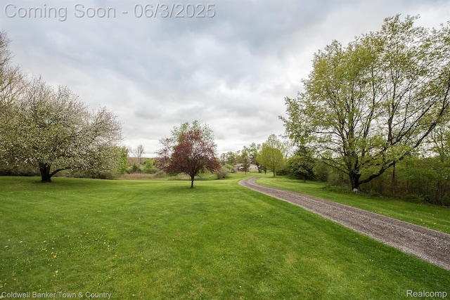 1355 Maxfield Rd, Brighton, MI 48114 - view of green lawn