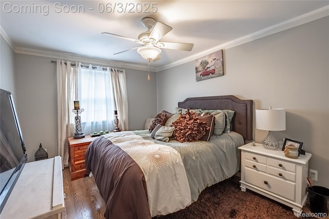 527 Montana St, Marysville, MI 48040 - bedroom with ornamental molding and ceiling fan