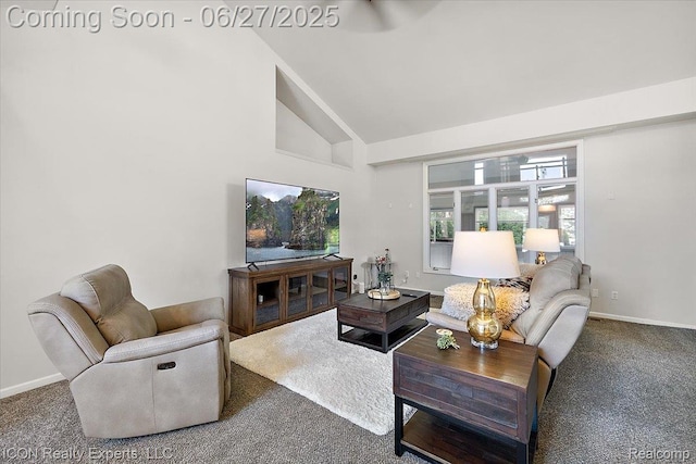 18529 Sumpter Forest Dr, Macomb, MI 48042 - carpeted living area featuring high vaulted ceiling and baseboards