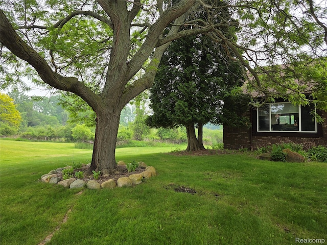 254 Cross Timbers St, Oxford, MI 48371 - view of green lawn