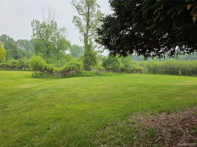 254 Cross Timbers St, Oxford, MI 48371 - view of grassy yard