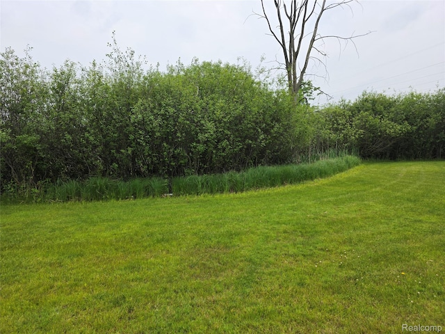 254 Cross Timbers St, Oxford, MI 48371 - view of grassy yard
