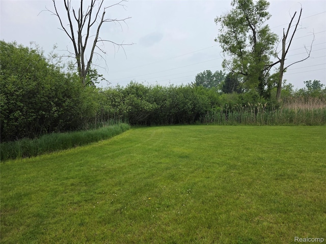 254 Cross Timbers St, Oxford, MI 48371 - view of grassy yard