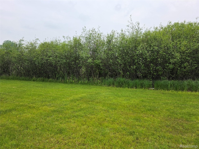 254 Cross Timbers St, Oxford, MI 48371 - view of grassy yard