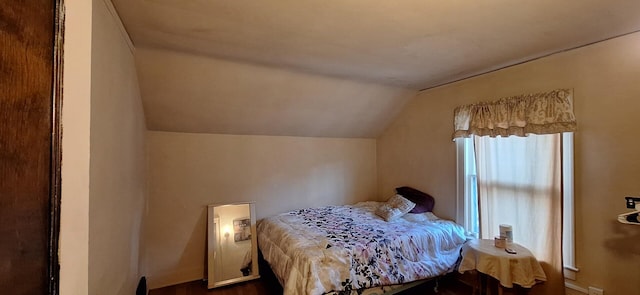 1907 Darwin Ave SW, Grand Rapids, MI 49507 - bedroom featuring lofted ceiling and wood finished floors