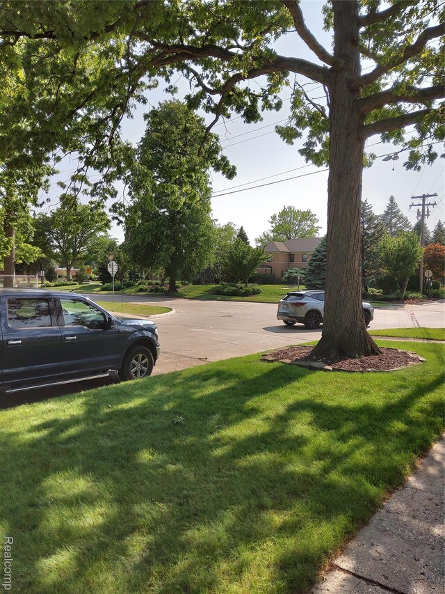 24934 Wilson Ave S, Dearborn, MI 48128 - view of grassy yard