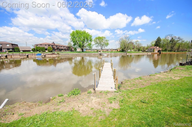 25561 S River Rd, Harrison Township, MI 48045 - photo 24