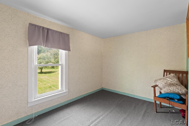 4460 Munger Rd, Tipton, MI 49287 - unfurnished room featuring plenty of natural light and carpet