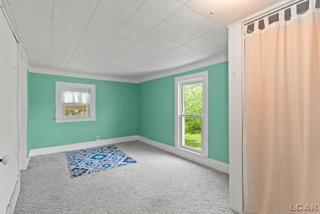 4460 Munger Rd, Tipton, MI 49287 - carpeted empty room featuring ornamental molding and baseboards