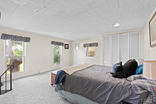 4460 Munger Rd, Tipton, MI 49287 - carpeted bedroom with multiple windows and a closet