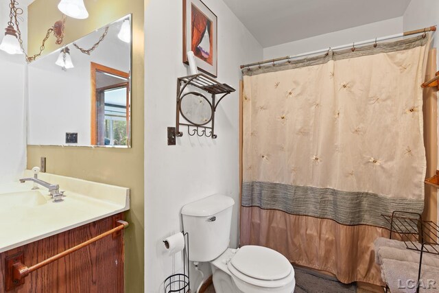 4460 Munger Rd, Tipton, MI 49287 - full bath featuring toilet, vanity, and curtained shower