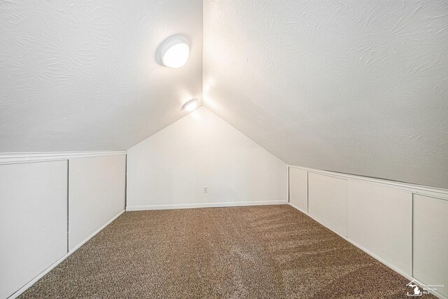 2930 Spielman Rd, Adrian, MI 49221 - bonus room featuring a textured ceiling, carpet floors, and lofted ceiling