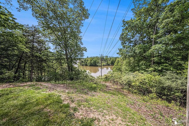 2930 Spielman Rd, Adrian, MI 49221 - view of yard featuring a water view