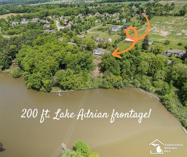 2930 Spielman Rd, Adrian, MI 49221 - bird's eye view of a tree filled landscape and a nearby body of water