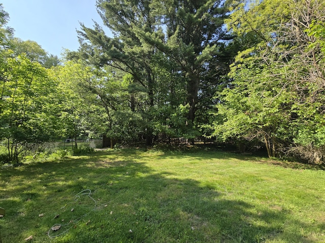 510 E Lewis St, Whitehall, MI 49461 - view of yard