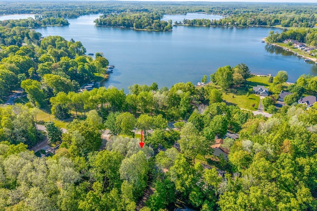 11198 E Royal Rd, Canadian Lakes, MI 49346 - aerial view of property and surrounding area with a large body of water and a heavily wooded area