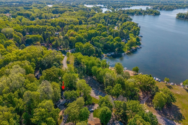 11198 E Royal Rd, Canadian Lakes, MI 49346 - drone / aerial view of a large body of water and a heavily wooded area