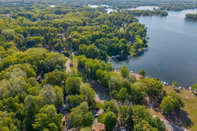 11198 E Royal Rd, Canadian Lakes, MI 49346 - bird's eye view of a large body of water and a heavily wooded area