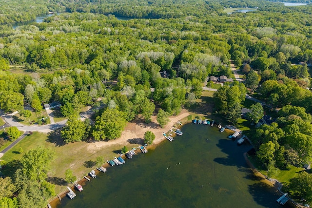 11198 E Royal Rd, Canadian Lakes, MI 49346 - view of property location featuring a forest and a large body of water
