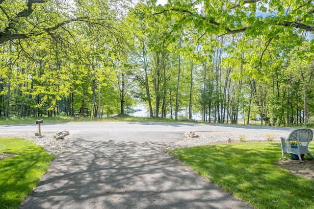 11198 E Royal Rd, Canadian Lakes, MI 49346 - view of home's community