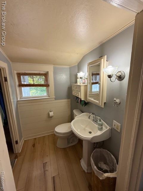 619 W Barnes Ave, Lansing, MI 48910 - bathroom featuring ornamental molding, hardwood / wood-style floors, a textured ceiling, toilet, and a sink