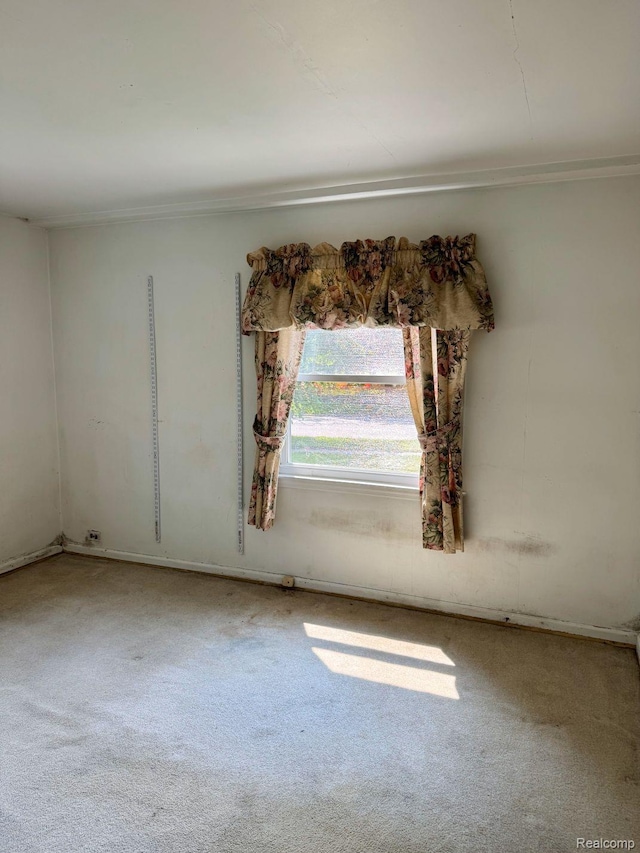 612 Cressfield Ln, Ann Arbor, MI 48103 - spare room with carpet floors and ornamental molding